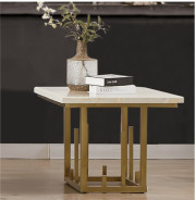 HD 06 European Classic Design Coffee Table By Homey Design