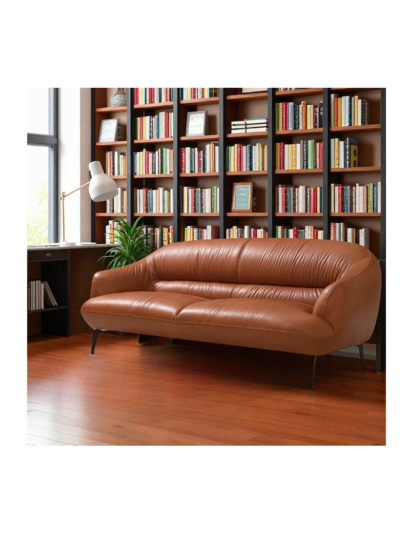LV00937 Leather Sofa Cognac finish Leonia Collection By Acme Furniture