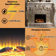 AC01619 Antique Gold Finish Fireplace Sorina Collection by Acme Furniture