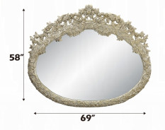 BD01243 Antique Gold Finish Wall Mirror Sorina Collection By Acme Furniture