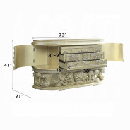 DN00464 Server Champagne Silver Finish Victorian Style Vatican Collection by Acme Furniture