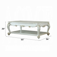 53460 Fabric /Antique Pearl Finish Living Room Picardy II Collection By Acme Furniture