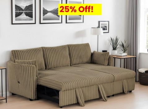 Sectional w/ Pull Out...