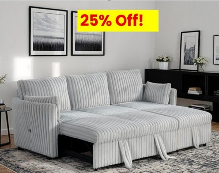 Sectional w/ Pull Out...