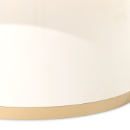 Rectangular Cocktail Table Ivory Gold Finish Gineverra Collection By Michael Amini LFR-GNVA201-839