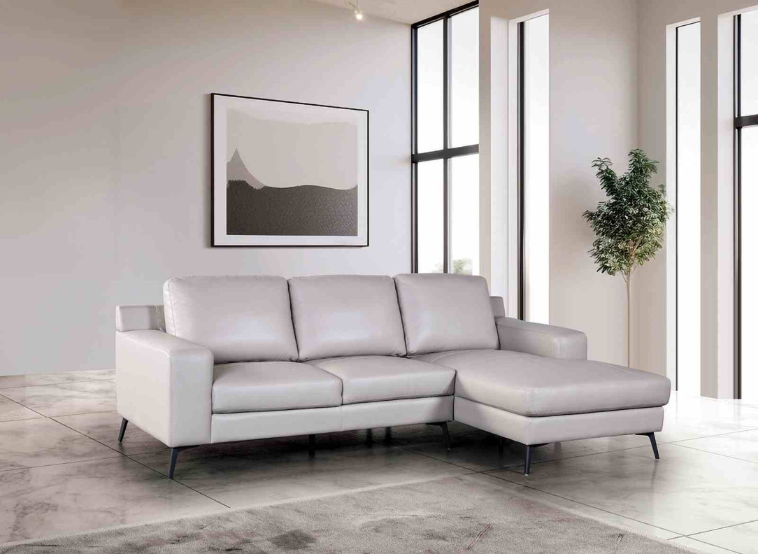 FM69004 2PC Sofa & loveseat Contemporary Style Light Gray Finish By Furniture of America