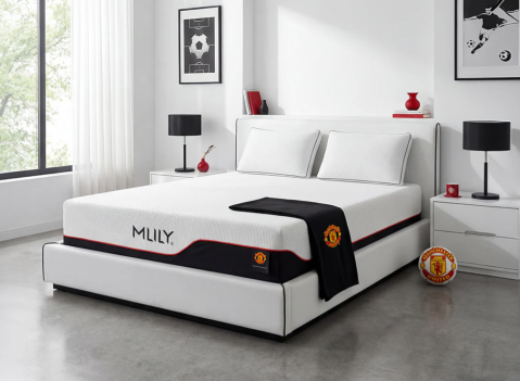 12" Twin Size Mattress...