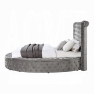 BD00967Q Gaiva Queen Bed W/Storage Gray Velvet By Acme Furniture