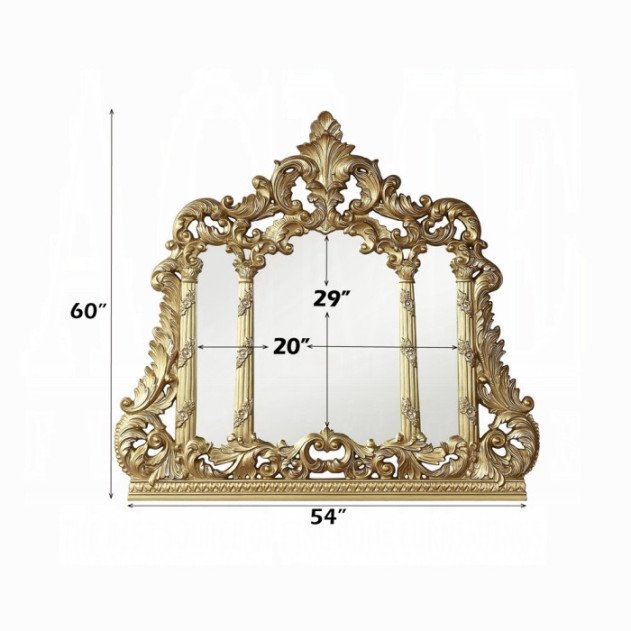 BD01465 Mirror Gold Finish Cabriole Collection By Acme Furniture