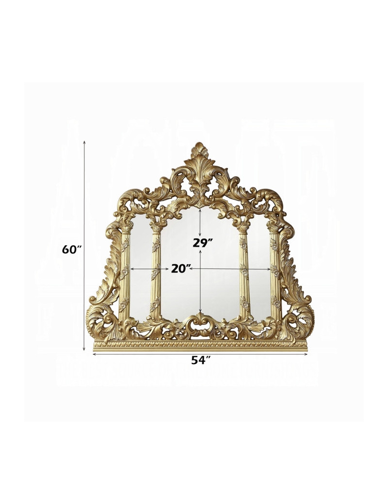 BD01465 Mirror Gold Finish Cabriole Collection By Acme Furniture