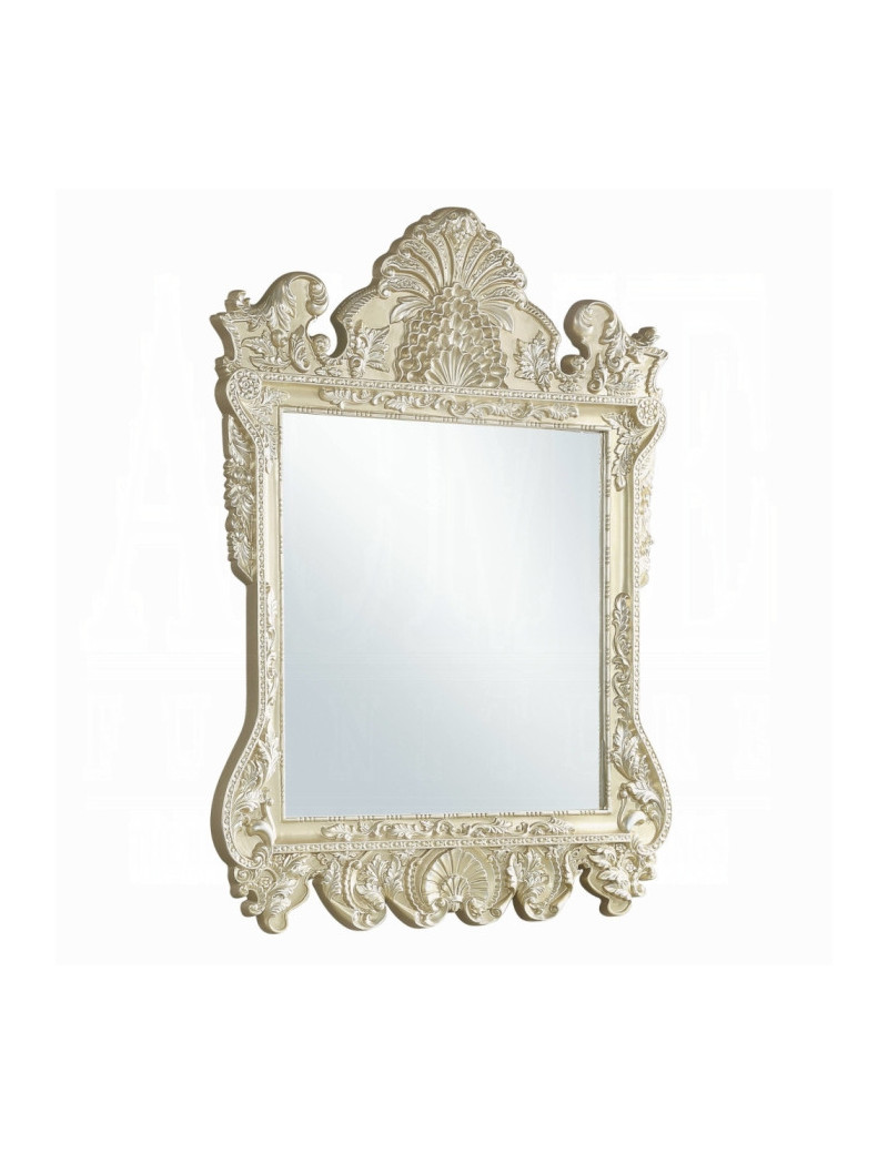 BD00463 Mirror Champagne Silver Finish Victorian Style Vatican Collection by Acme Furniture