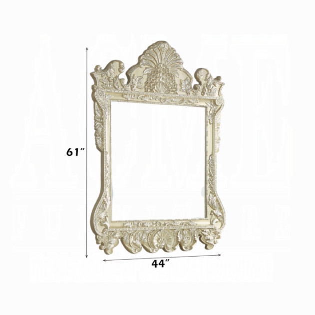 BD00463 Mirror Champagne Silver Finish Victorian Style Vatican Collection by Acme Furniture