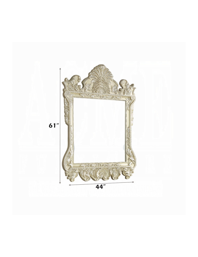 BD00463 Mirror Champagne Silver Finish Victorian Style Vatican Collection by Acme Furniture