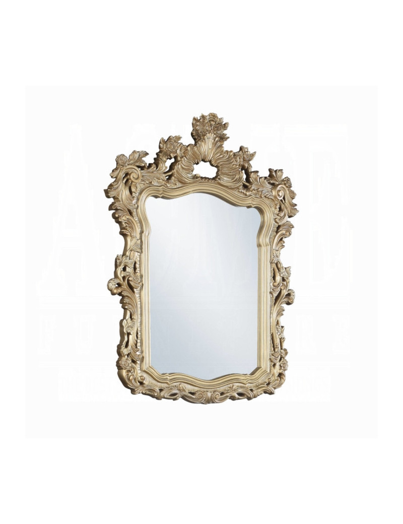 BD00453 Mirror Victorian Style Seville Collection by Acme Furniture