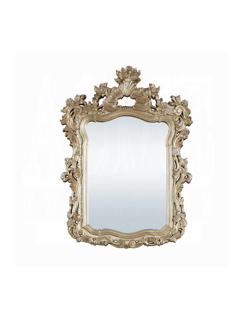 BD00453 Mirror Victorian Style Seville Collection by Acme Furniture