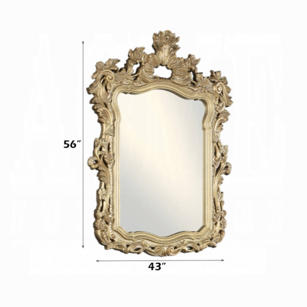 BD00453 Mirror Victorian Style Seville Collection by Acme Furniture