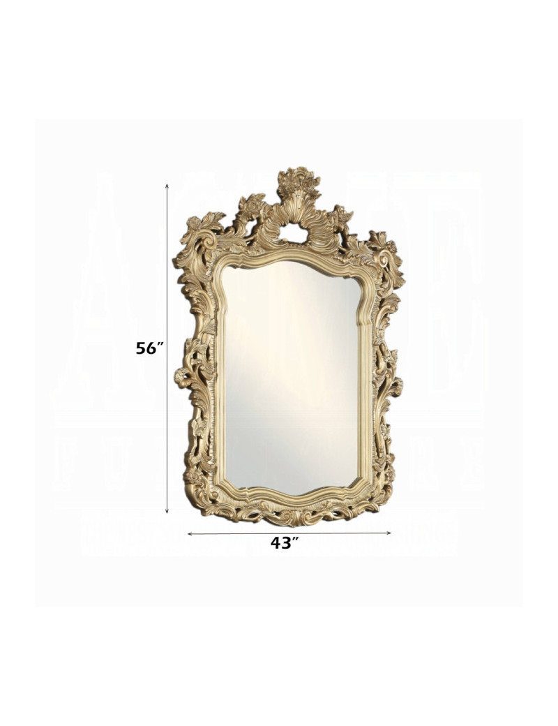 BD00453 Mirror Victorian Style Seville Collection by Acme Furniture