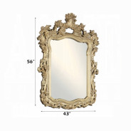 BD00453 Mirror Victorian Style Seville Collection by Acme Furniture