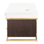 Belmont Place-N Espresso Executive Office Desk – Transitional Style by Michael Amini