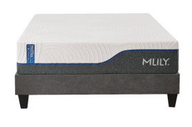 14" Queen WellFlex ICE 1.0 Firmer Cooling Memory Foam Mattress with ActiveTemp™ PCM – MLILY USA