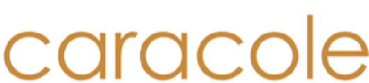 Caracole Furniture