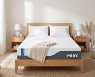 WellFlex Memory Foam Mattress By Mlily USA Inc.
