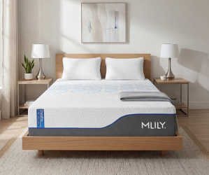 ChiroPro Tri-Zoned Hybrid Mattress By Mlily USA Inc