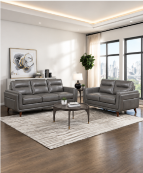 Living Rooms Mid - Century Modern
